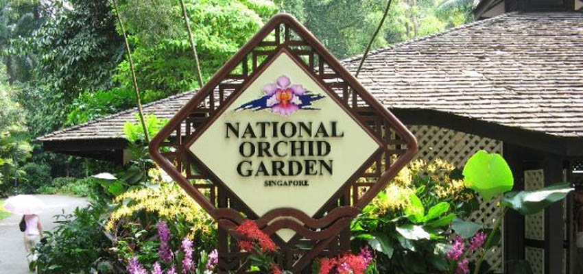 kuala-lumpur-Orchid Garden